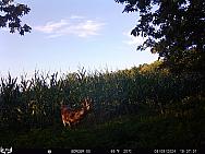 08090782