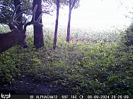 08090996