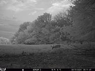 08100464