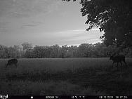 08100907