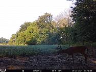08200033