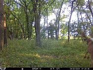08200472
