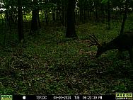 08200485