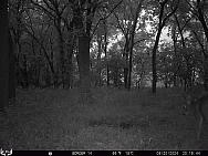 08200530