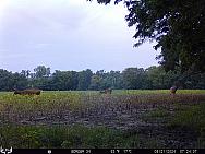 08210465