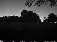 08260063