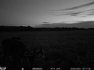 08290017