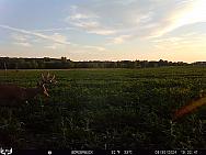 08300064
