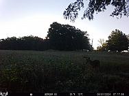 08310131 (2)