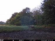 09040739