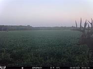 09060258