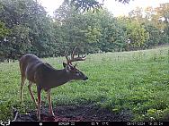 09070324