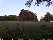 09070396