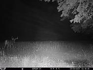 09080347