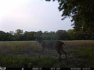 09080390