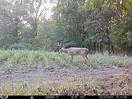 09080847