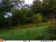 09090308