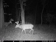 09090723