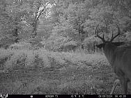 09090878