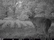 09090879