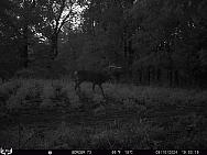 09100035
