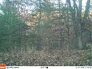 10310461