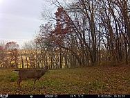 11020686