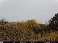 11030252