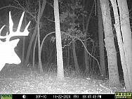 11220244