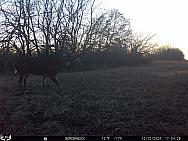 12120066
