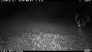 2cafca1d-c307-4a29-b07b-7579520166c2