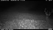 6e5b9275-0fe7-47c8-bb36-12f8b5cadf35
