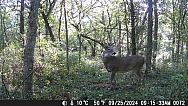 DSCF0072