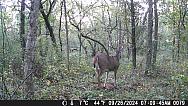 DSCF0079