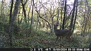 DSCF0246