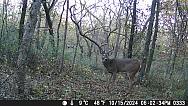 DSCF0333