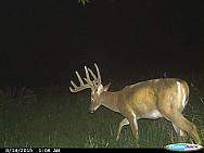 CDY 0563