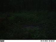 PICT0358