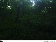 PICT0277