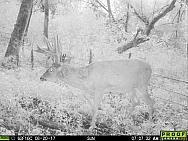 08200755