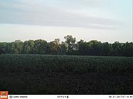 08310652