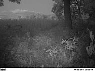 PICT0577