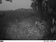 PICT0861
