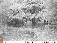 07200239