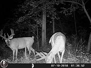HUNT0091