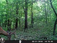 HUNT0579