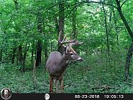 HUNT0632