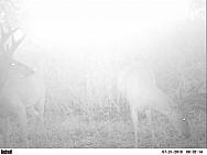 PICT0236