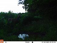 07200285