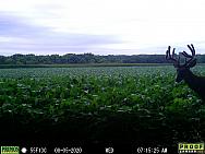 08050681